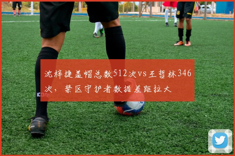 沈梓捷盖帽总数512次vs王哲林346次,禁区守护者数据差距拉大